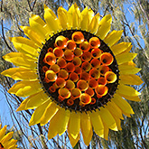 ap sunlight-flowers